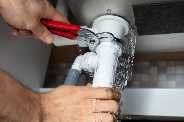 Best Water damage cleanup near me  in Arbuckle, CA