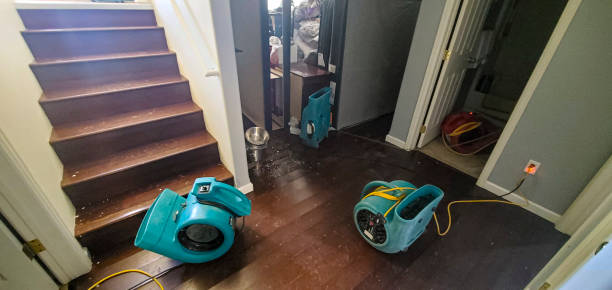 Best Ceiling water damage repair  in Arbuckle, CA