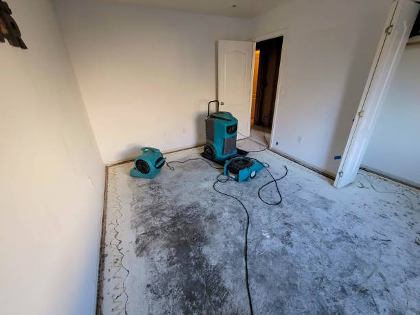 Fire Damage Restoration in Arbuckle, CA
