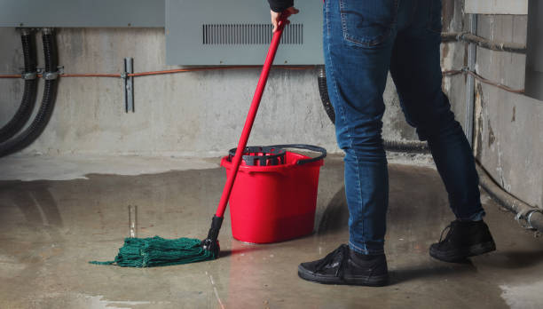 Water damage restoration mold remediation in Arbuckle, CA