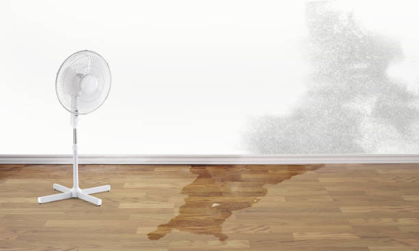 Best Commercial water damage restoration  in Arbuckle, CA