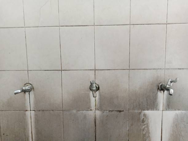 Best Water damage restoration near me  in Arbuckle, CA