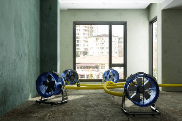 Best Local water damage restoration  in Arbuckle, CA